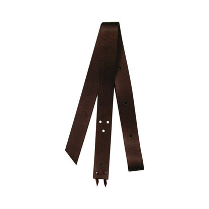 Reinsman Nylon Tie Strap 1.75x6ft Dark Brown