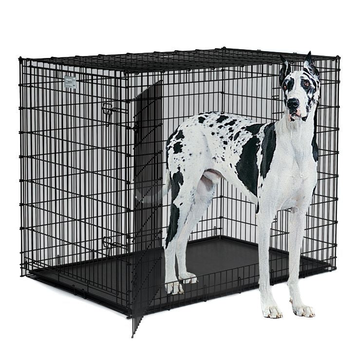MidWest Solutions 2 Door Large Dog Crate