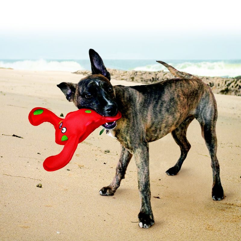 KONG Belly Flops Dog Toy