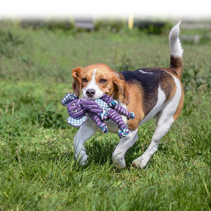 KONG Floppy Knots Dog Toy