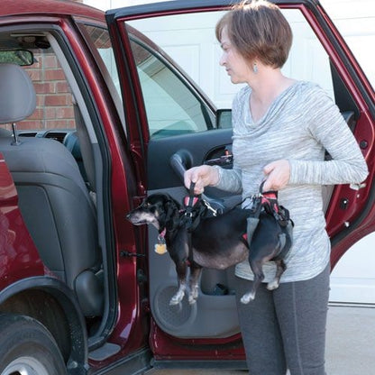 Solvit Carelift Lifting Aid Dog Harness
