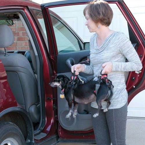 Solvit Carelift Lifting Aid Dog Harness