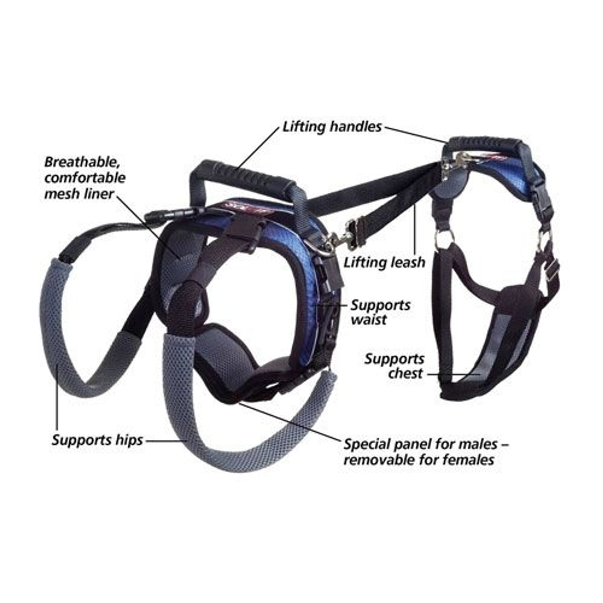 Solvit Carelift Lifting Aid Dog Harness