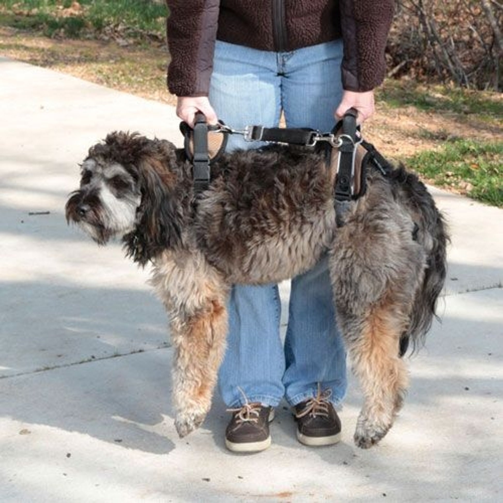 Solvit Carelift Lifting Aid Dog Harness