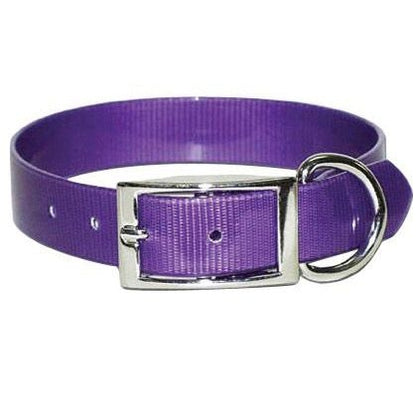 Sunglo Regular Collar 1"