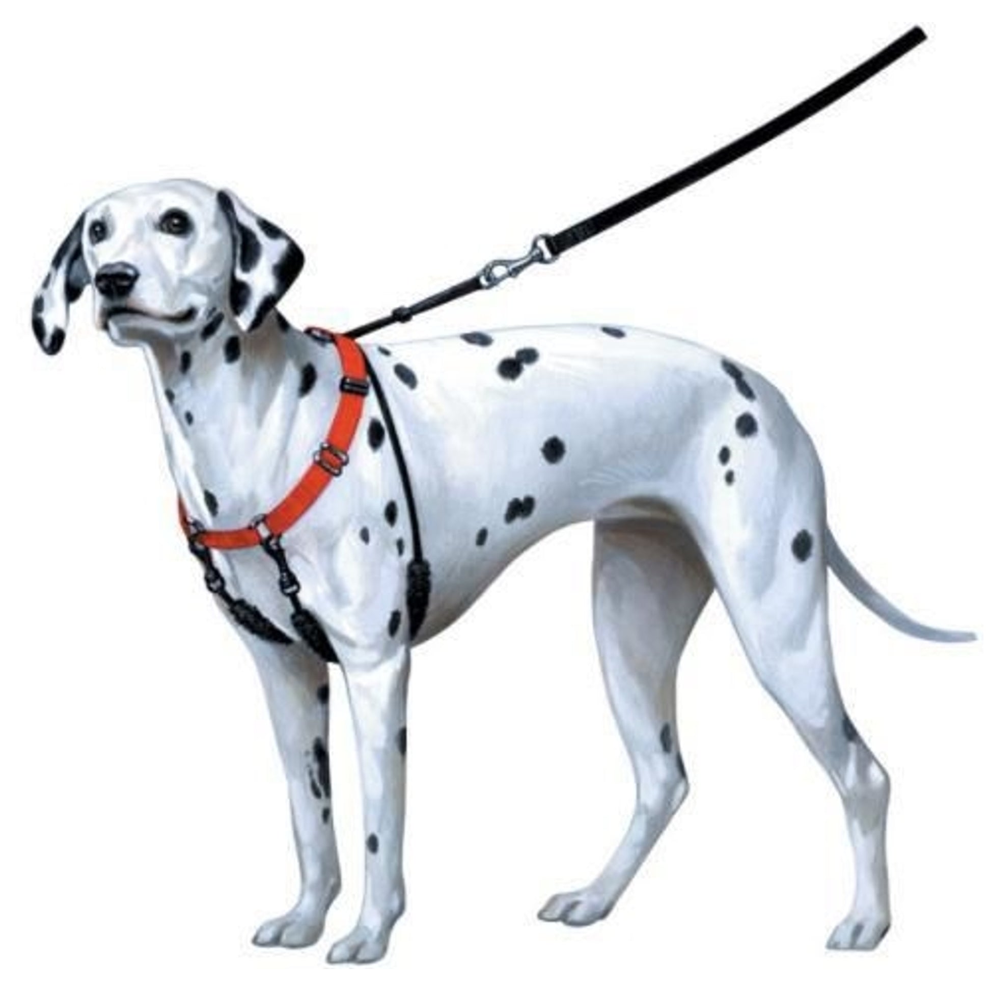 Sporn Pull-Control Dog Halter