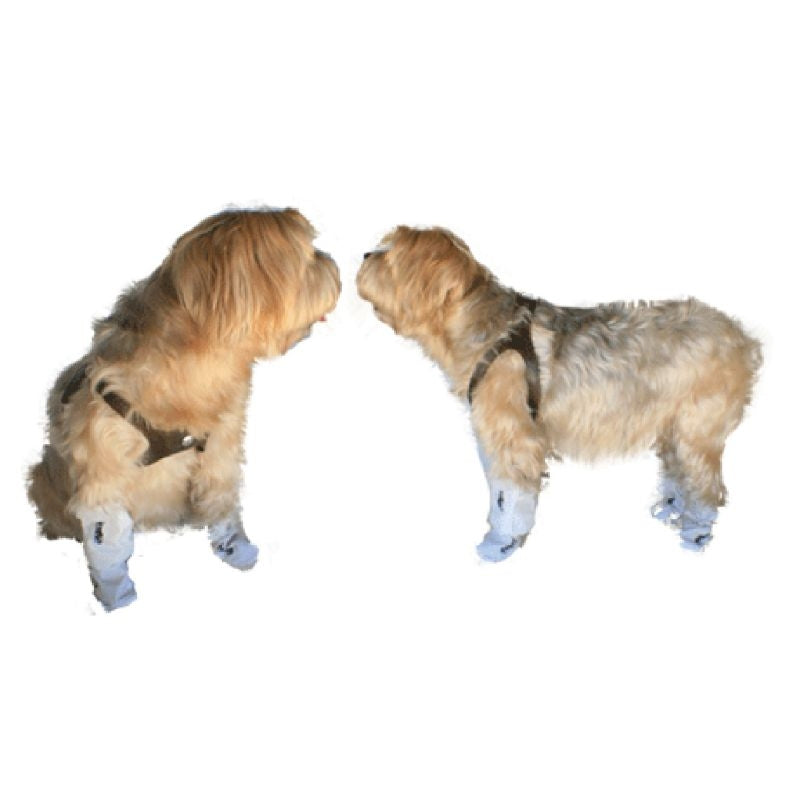 Senior Dog Boots