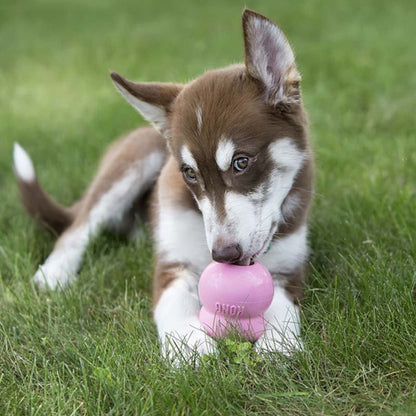 KONG Puppy Easy Treat