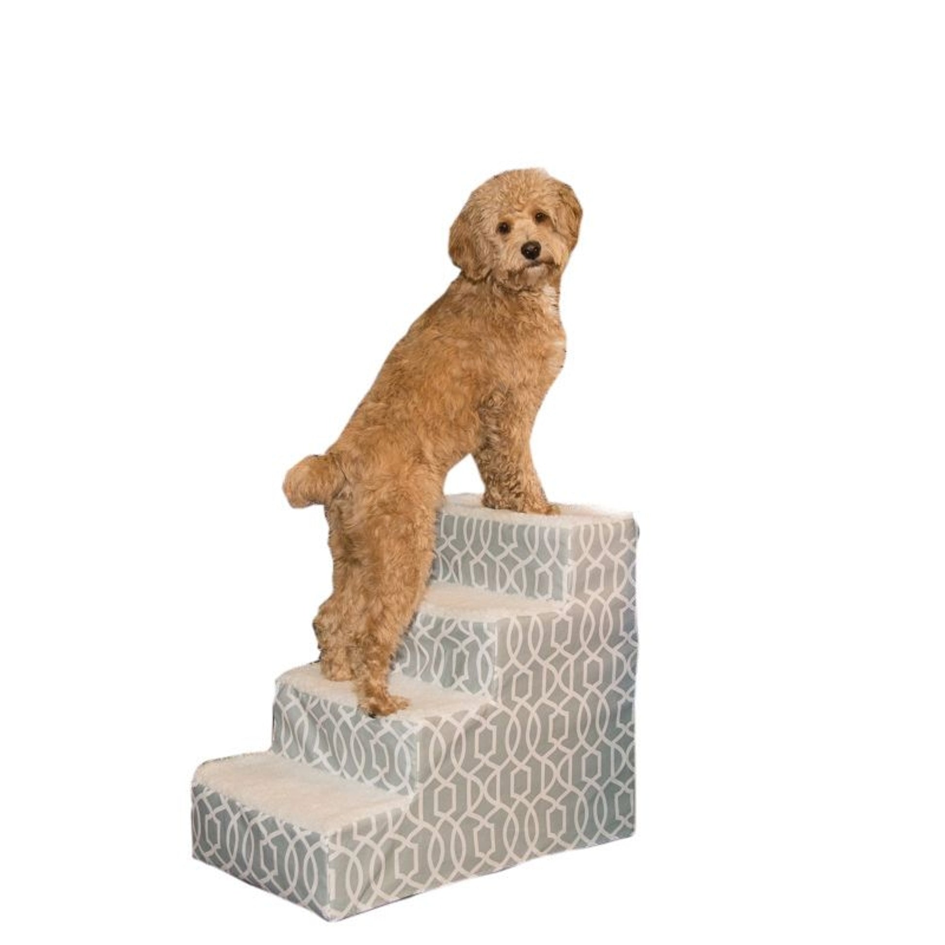 Pet Gear Trellis Print Pet Step IV