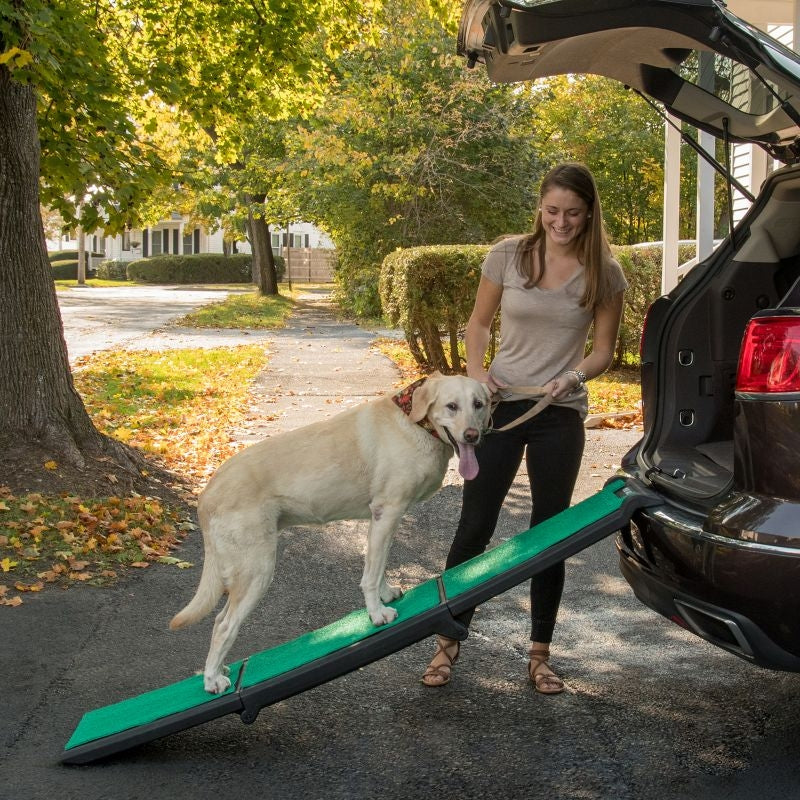 Dog Car Ramps