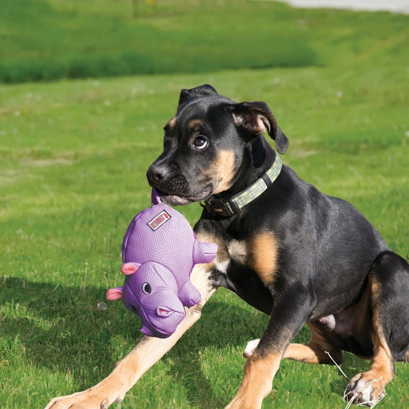 KONG Phatz Dog Toy