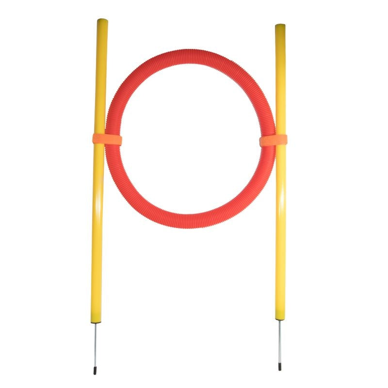 Dog Agility Training Supplies