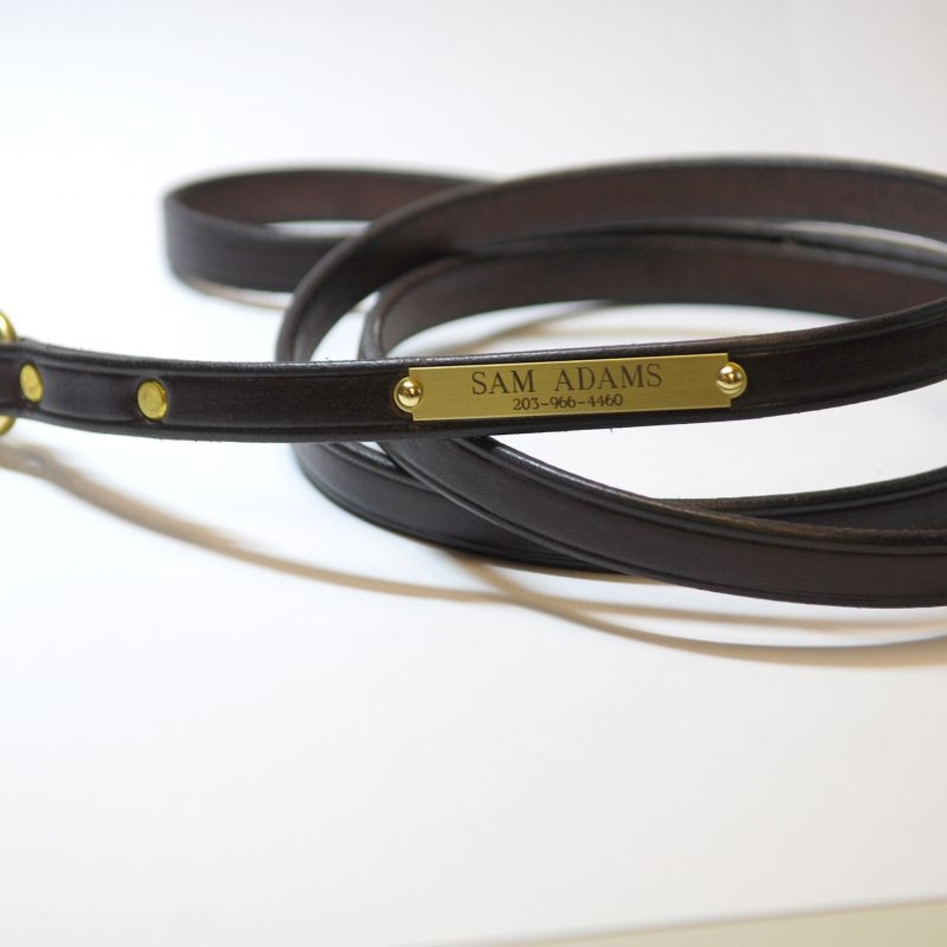 Personalized Mahogany Dog Leash with Brass