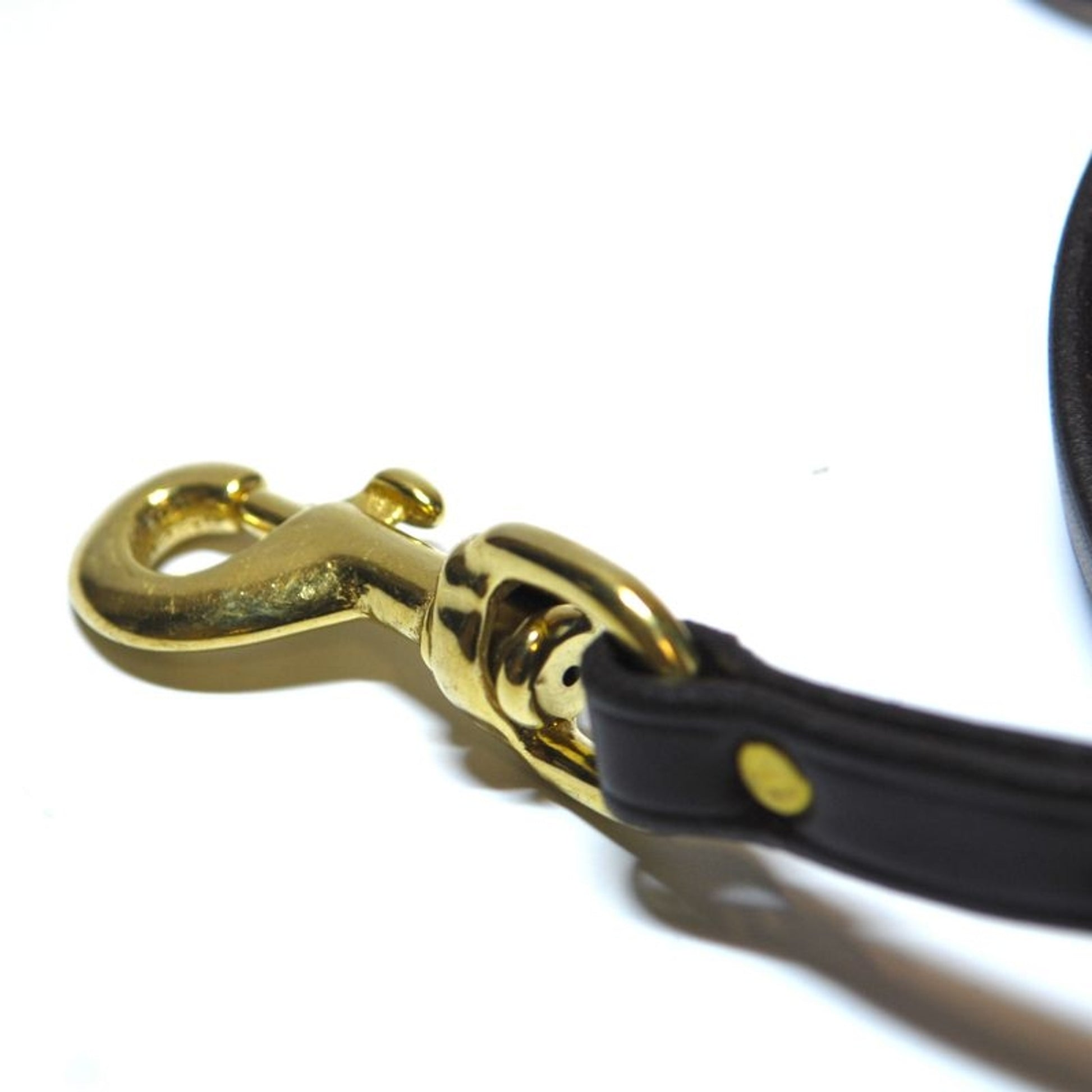 Personalized Mahogany Dog Leash with Brass