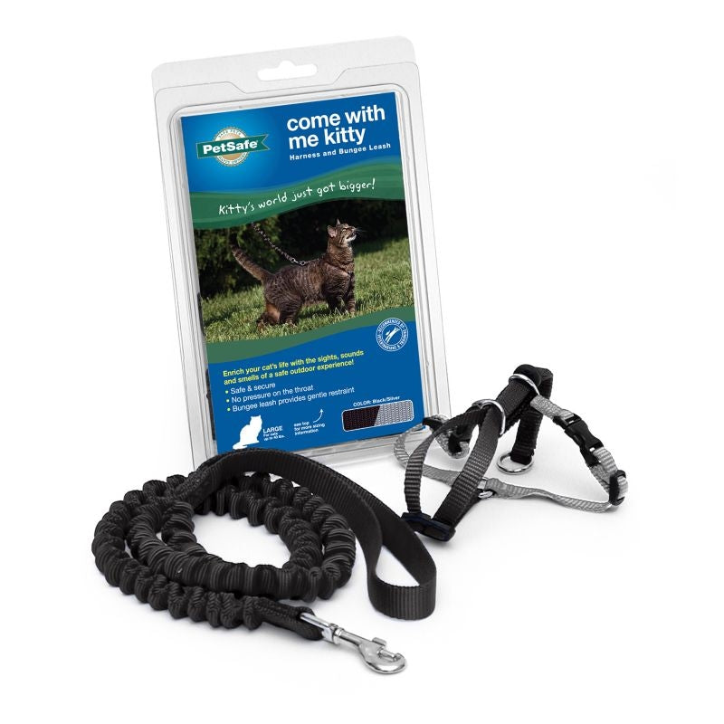 Cat Collars, Tags and Leashes