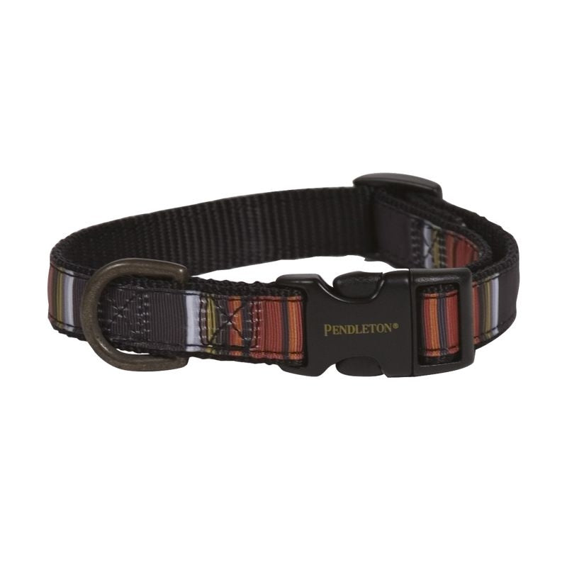 Pendleton Hiker Acadia Dog Collar