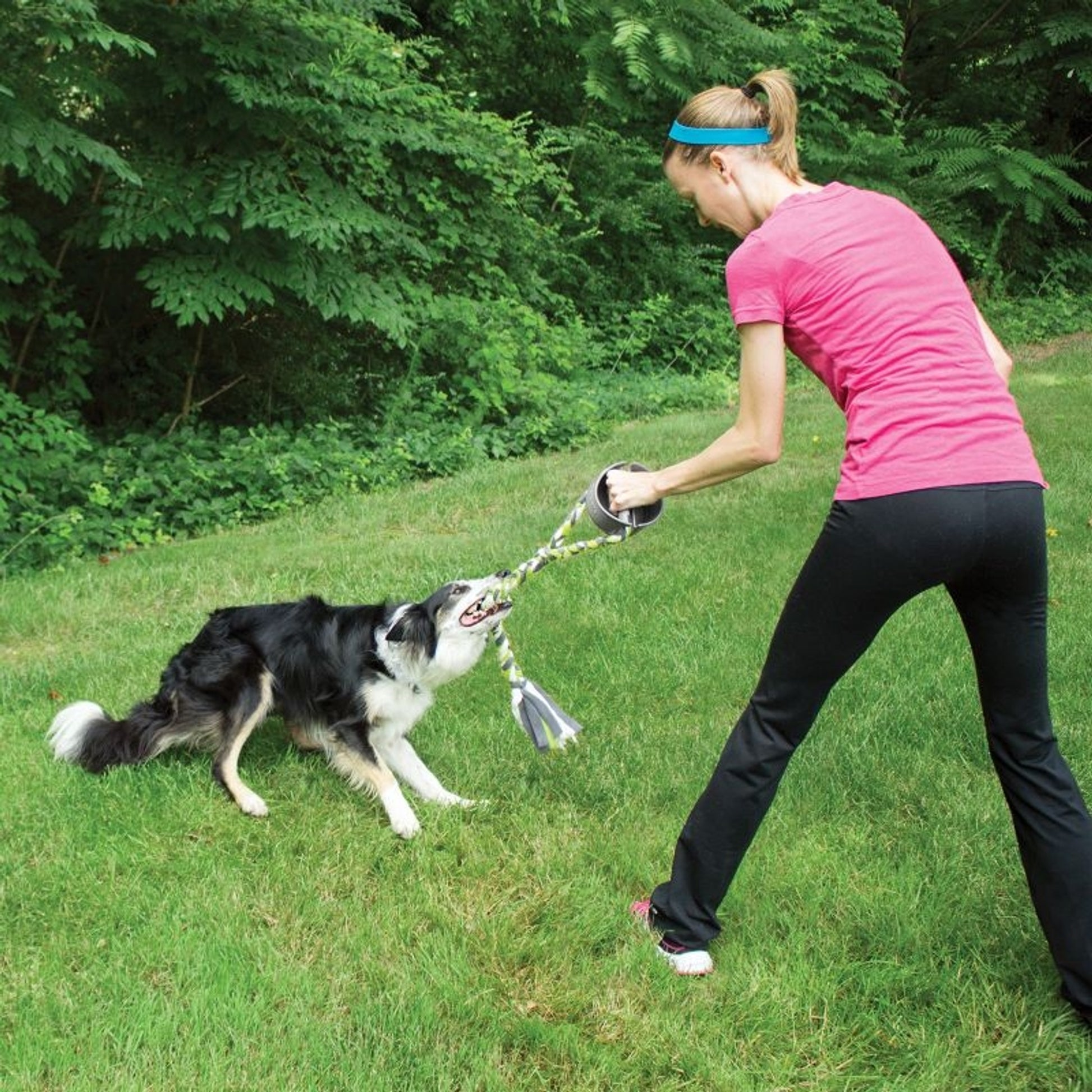 PetSafe Grip n Tug Dog Toy