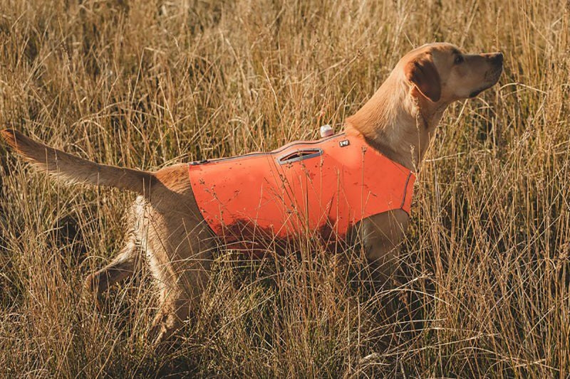 Hurtta Orange Rambler Dog Vest
