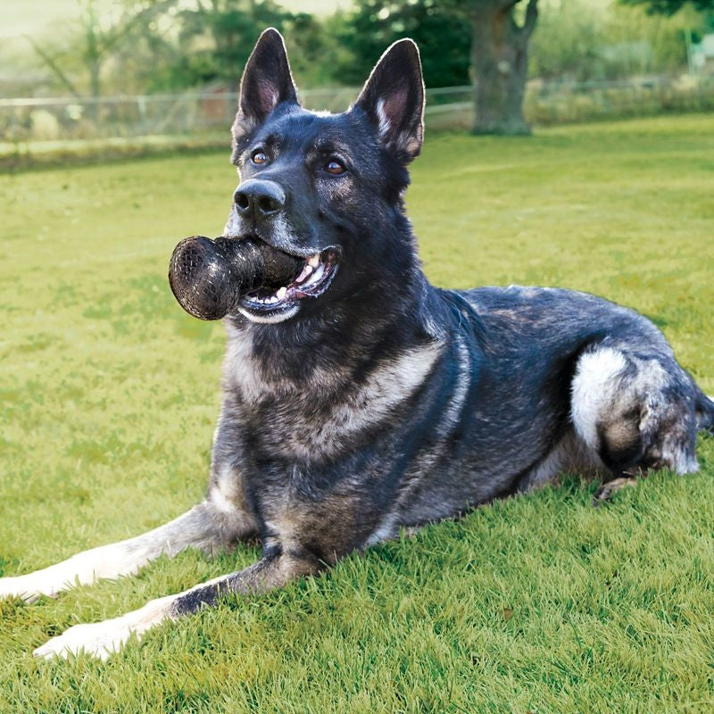 KONG Duramax Dumbbell Dog Toy