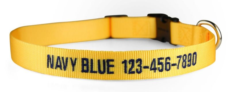 Personalized Yellow Nylon Dog Collar