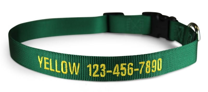 Personalized Green Nylon Dog Collar