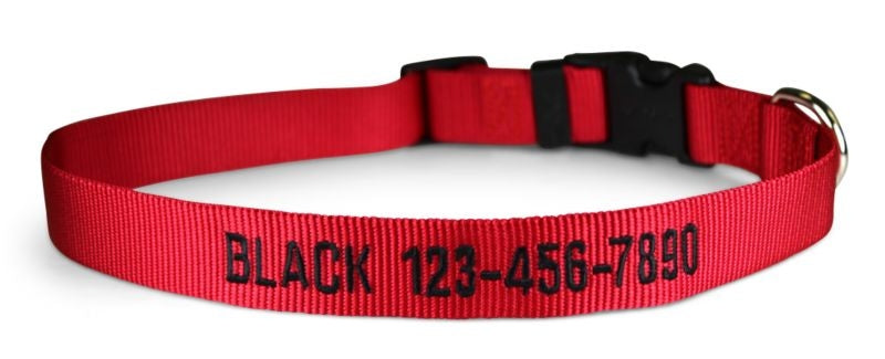 Personalized Red Nylon Dog Collar