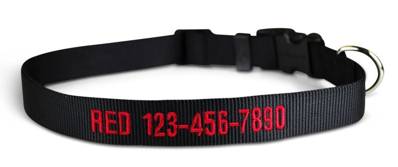 Personalized Black Nylon Dog Collar