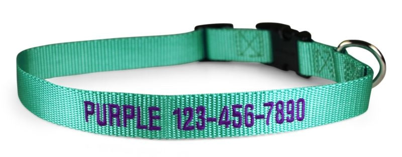 Personalized Mint Green Nylon Dog Collar