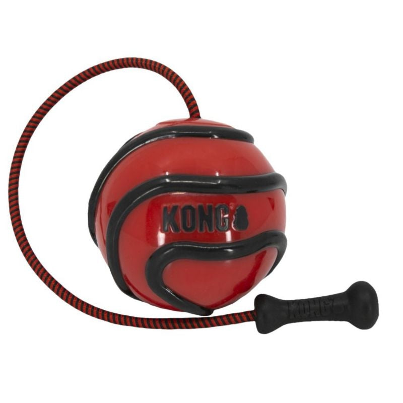 KONG Wavz Bunjiball Assorted Dog Toy