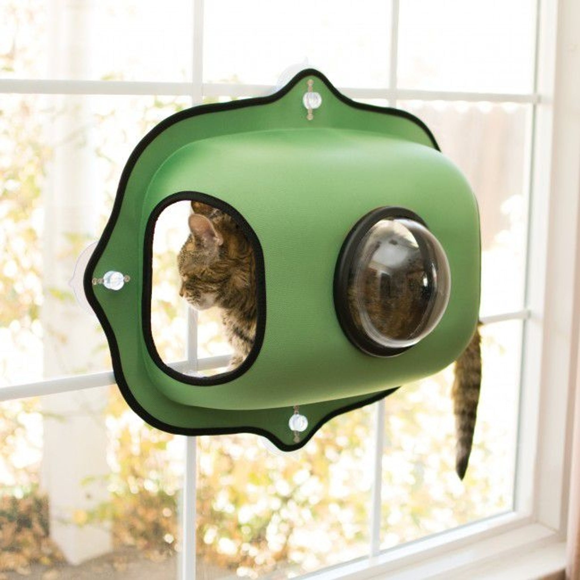 KH Mfg EZ Mount Window Bubble Cat Pod