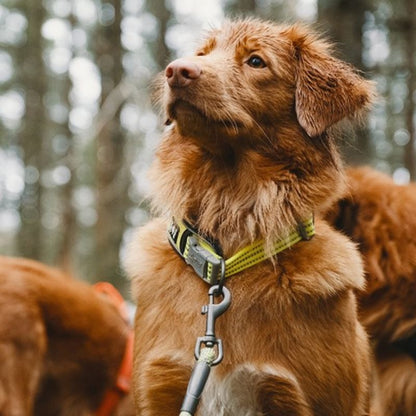 Hurtta Weekend Warrior Dog Collar
