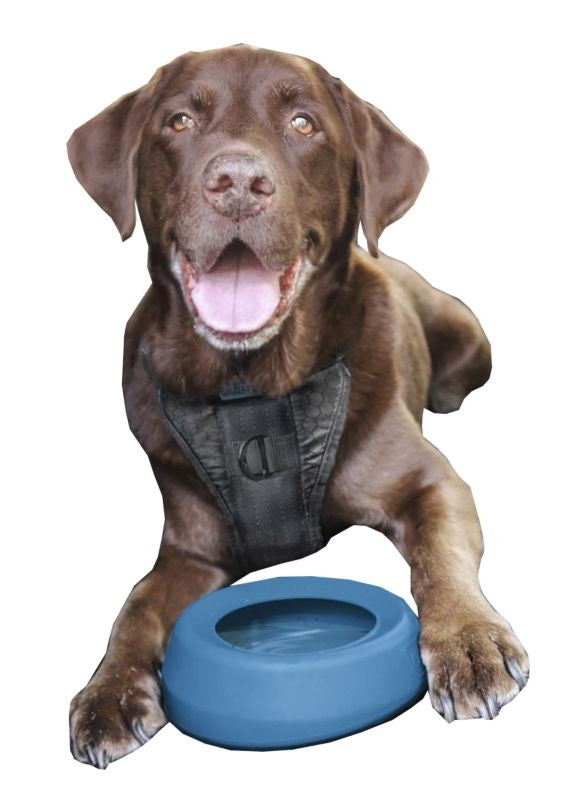Kurgo Splash Free Wander Water Bowl