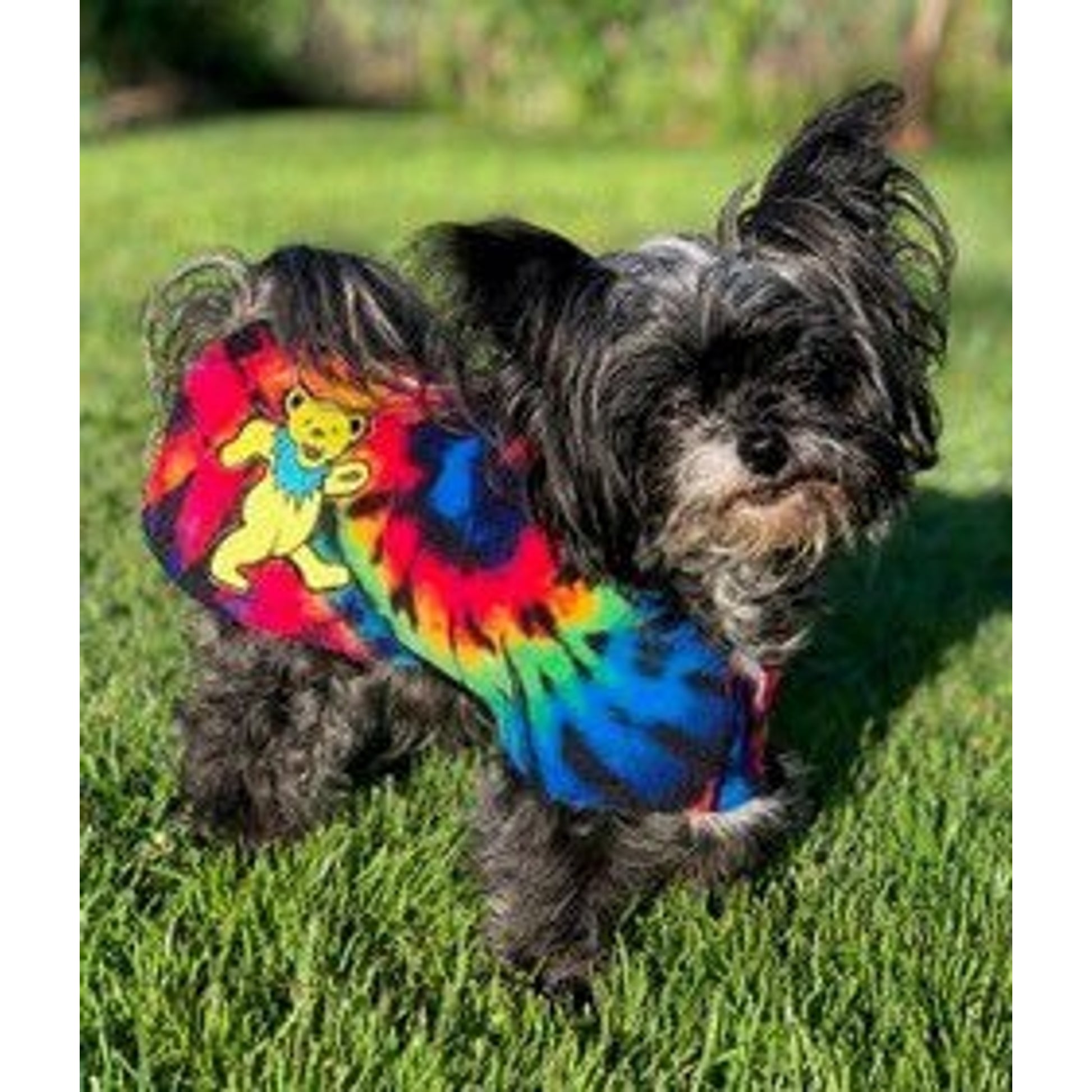 Snugpups Hippie Grateful Dead Dog Coat