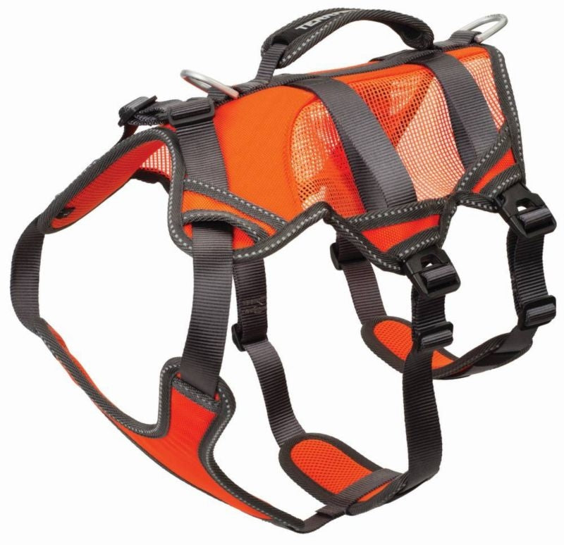 Halters and Harnesses