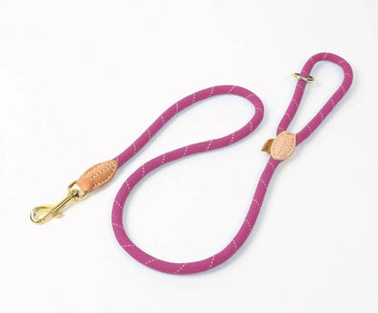 Shires Digby Fox Reflective Dog Lead