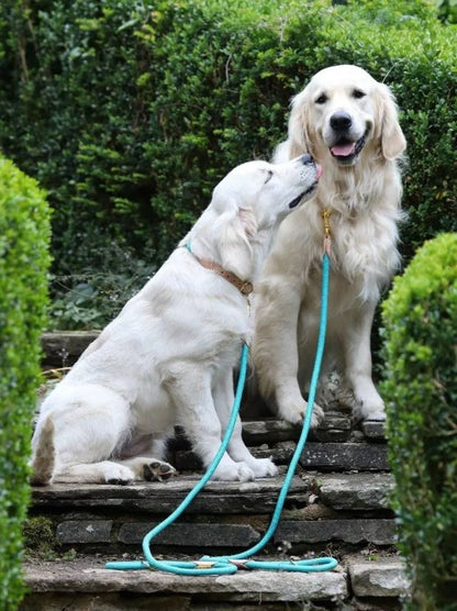 Shires Digby Fox Reflective Dog Lead