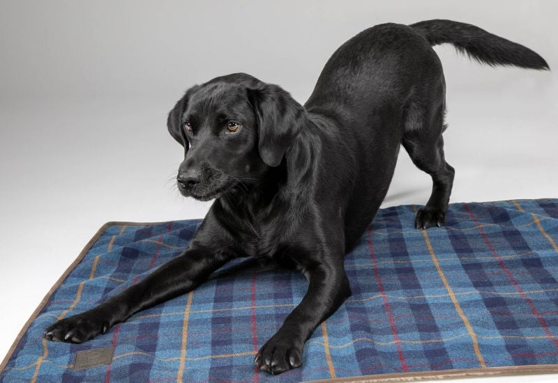 Dog Mats and Crate Pads