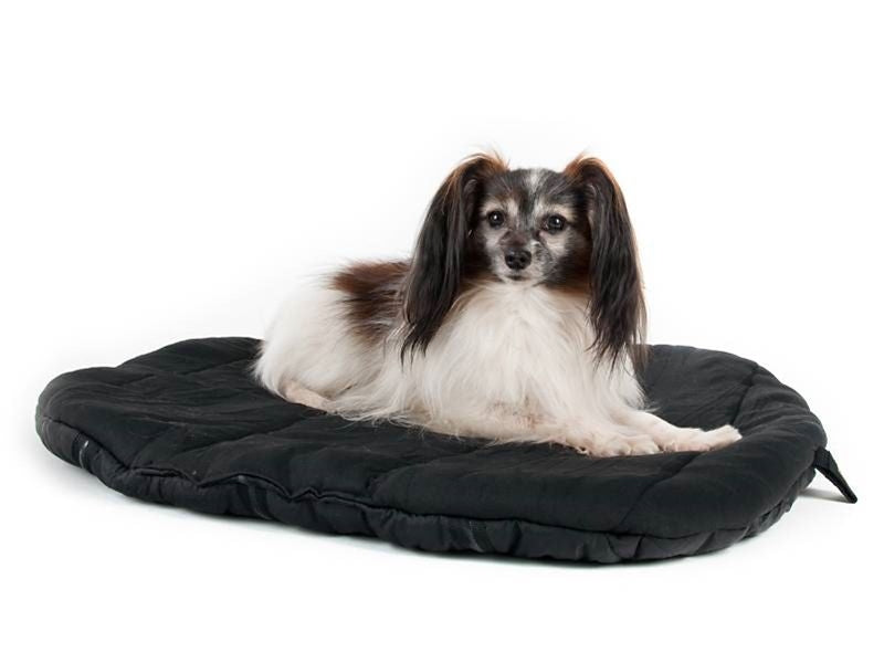 Dog Orthopedic Beds