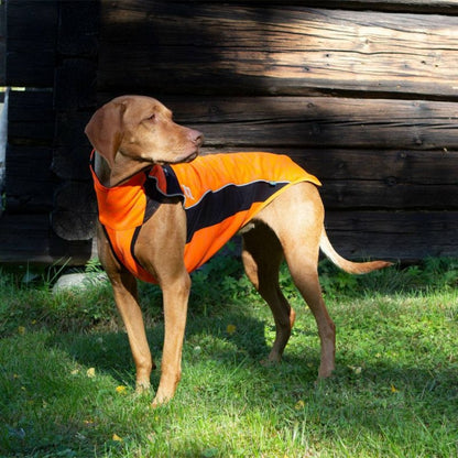 Back on Track Eddie High Visibility Dog Jumper