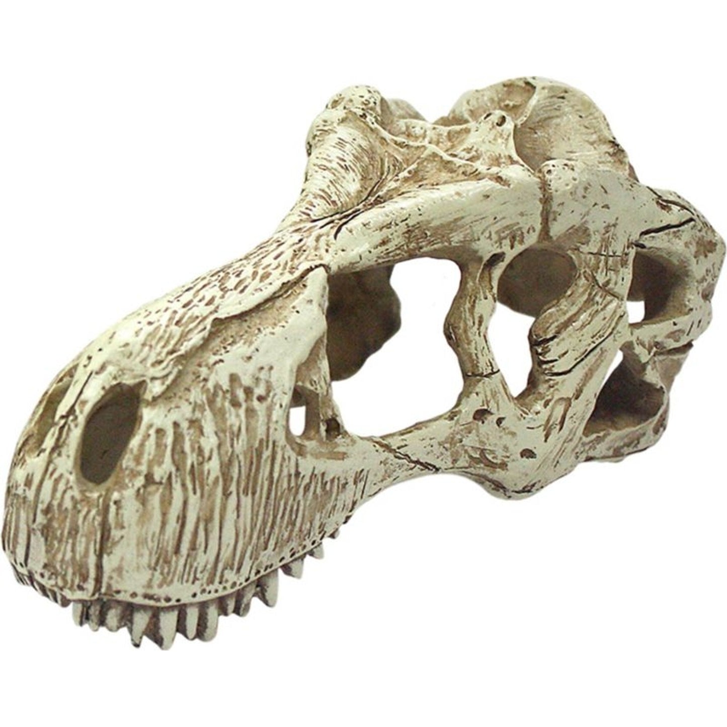 TP07549_942597_01_P.jpg