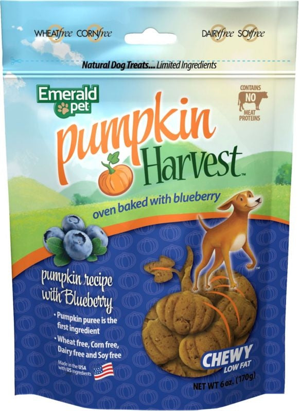 Pumpkin Harvest Chewy Dog Treats
