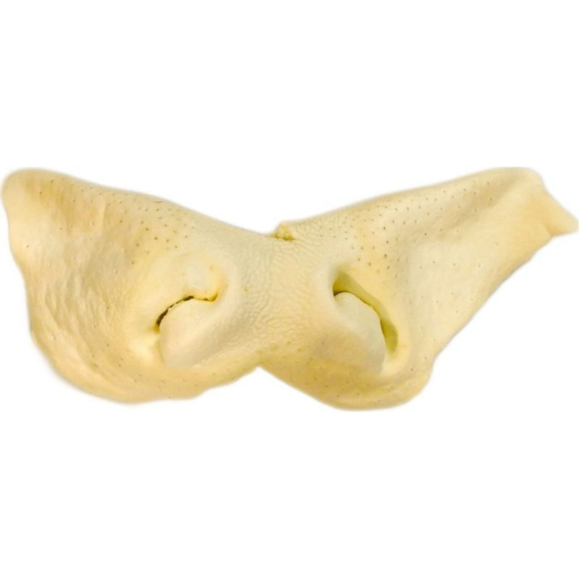 Natures Own Usa Not Rawhide Chew Treat