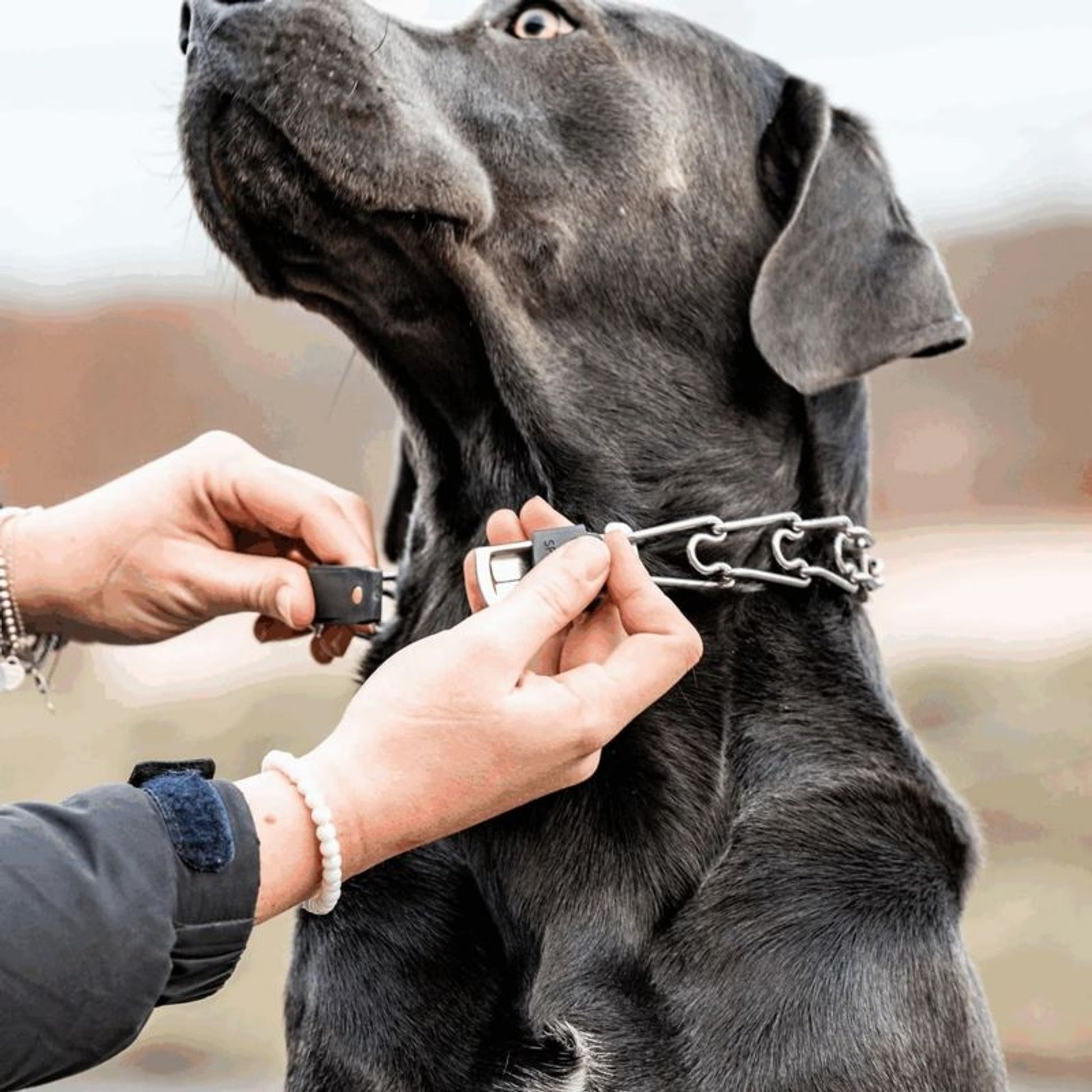 Herm Sprenger SS ClicLock for Prong Collar