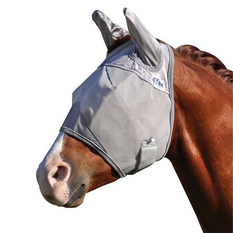 Fly Masks, Boots and Sheets