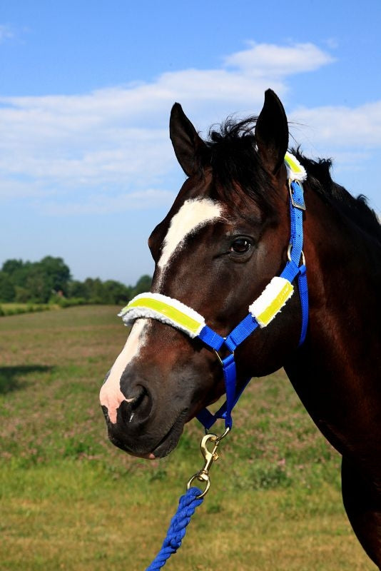 Basic Reflective Halter Tube Set
