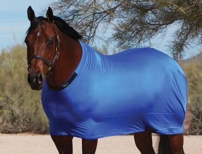 Sleazy Lycra Sheet