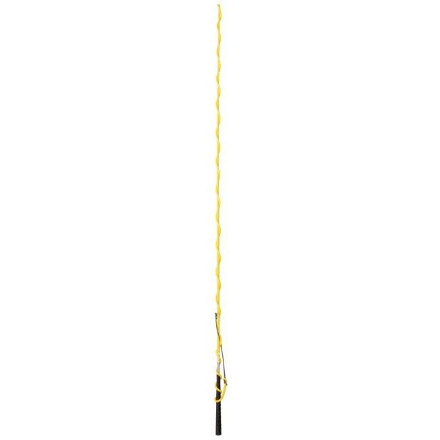 TSLT731077_Yellow.jpg
