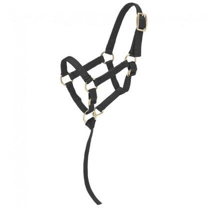 Tough1 Miniature Nylon Halter
