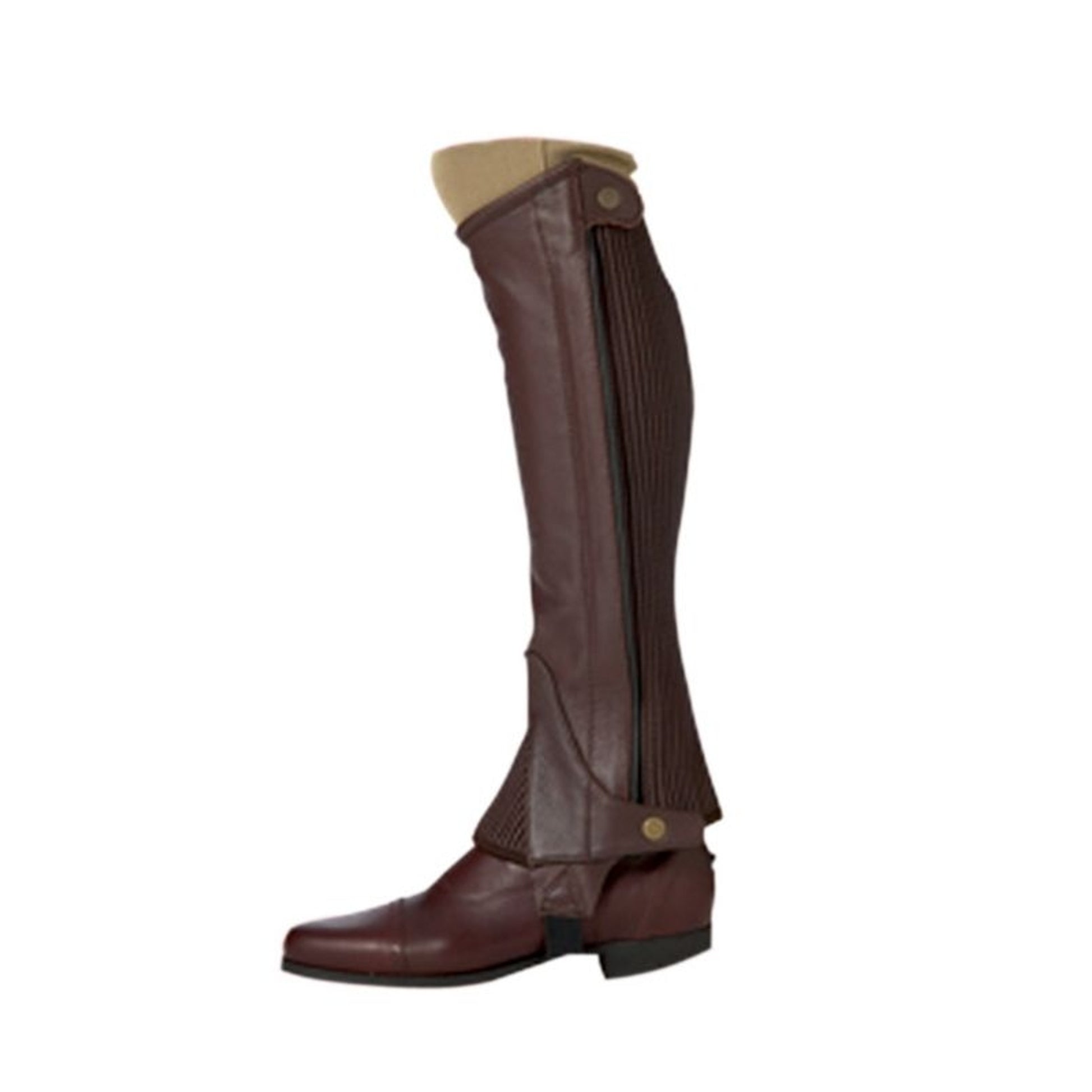 Ovation Ladies Pro Top Grain Half Chaps