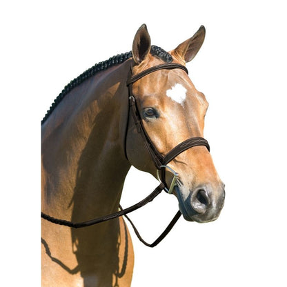 Rodrigo Pessoa Wide Noseband Show Bridle